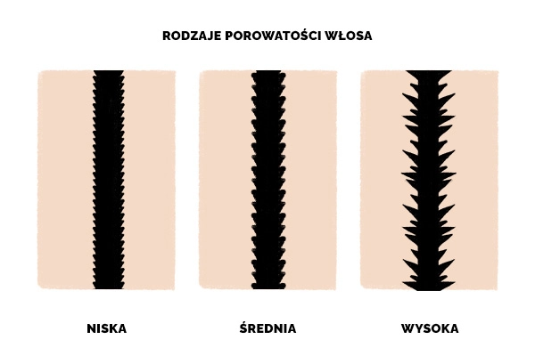 Włosy wysokoporowate - rodzaj porowatości włosa