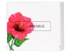 Ministerstwo Dobrego Mydła - Mydło Hibiskus - 100g 